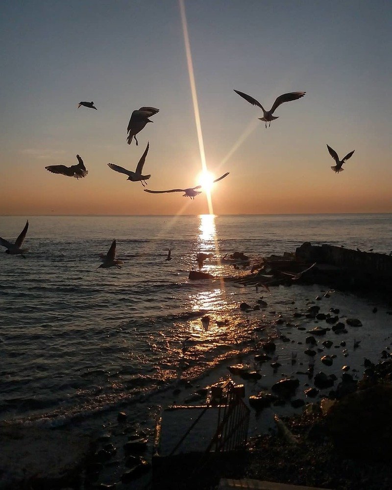 Photograph by Елена