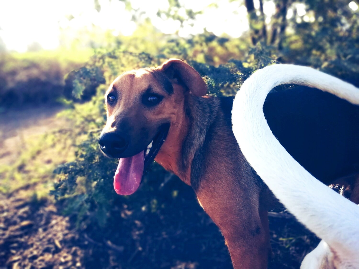 Photo #4701743