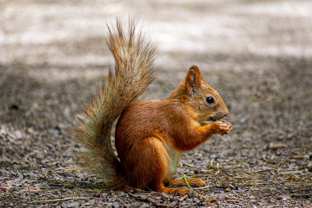 Photograph by Оксана Корчагина