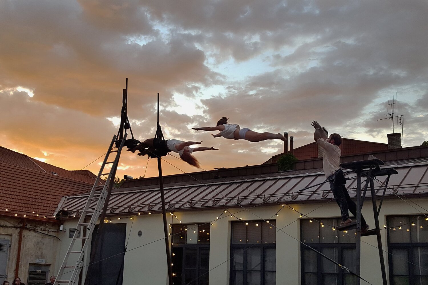 Photo #4701865