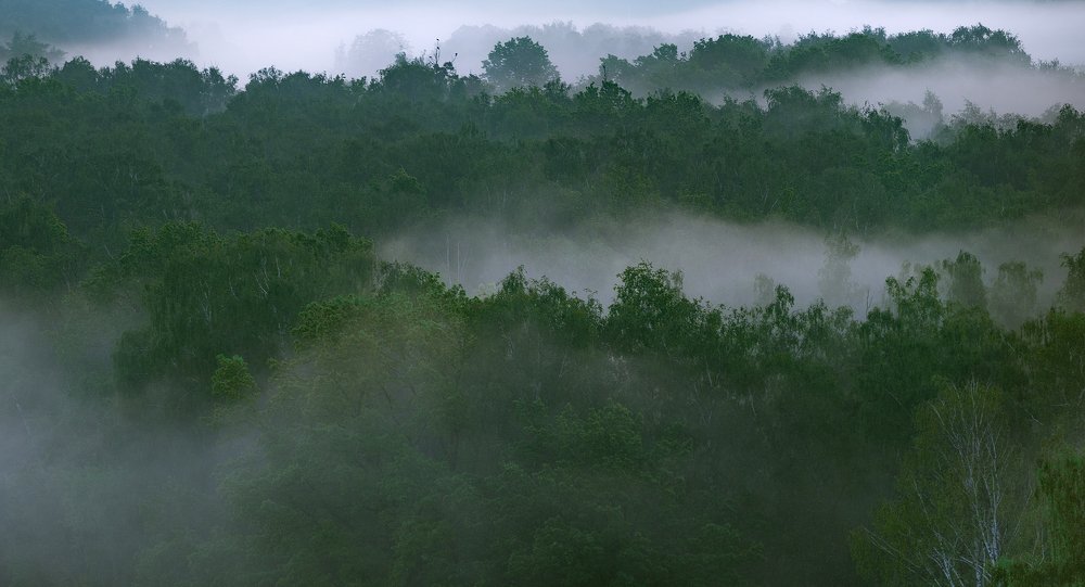 Photograph by Водолазький Виктор