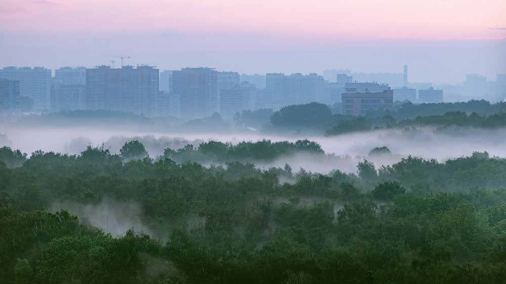 Photograph by Водолазький Виктор