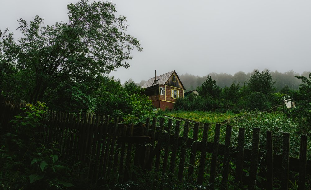 Домик в лесу среди тумана