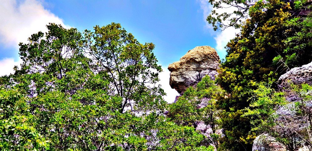 Photograph by Toufic Melhem