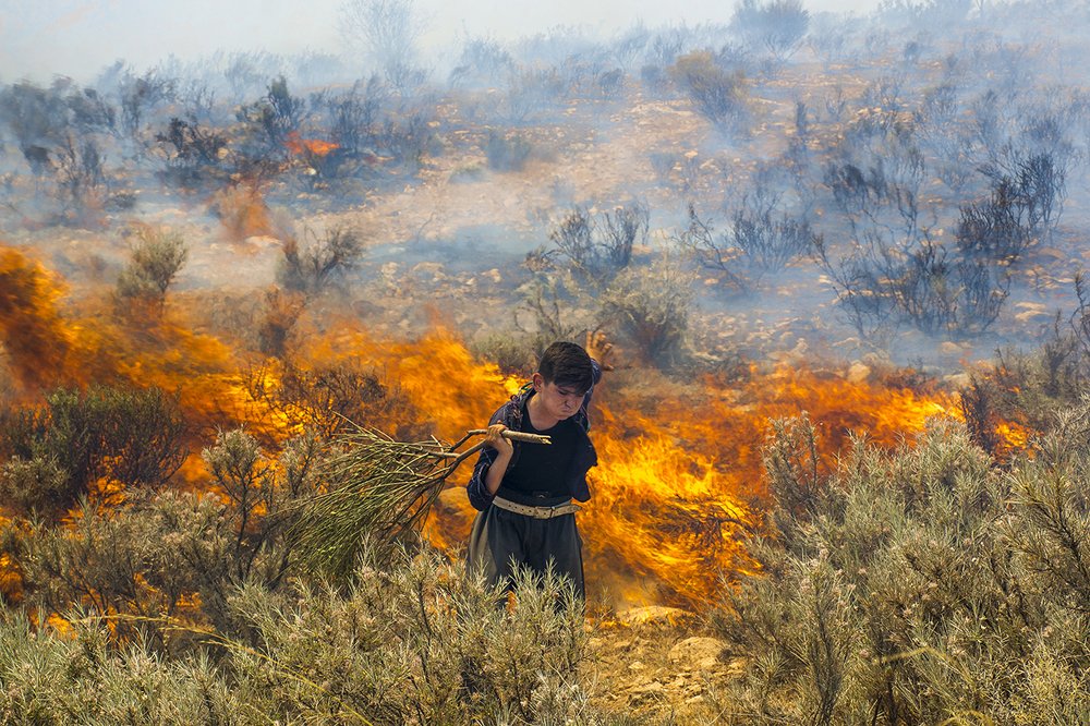 Photograph by seyedmohamad tabrizi