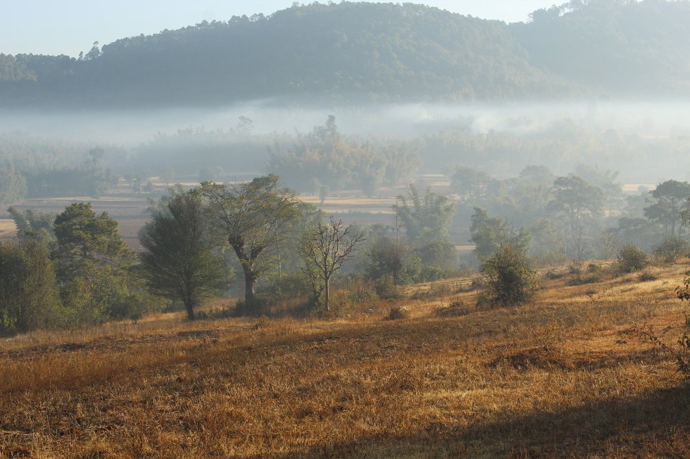 Фотография автора Micca