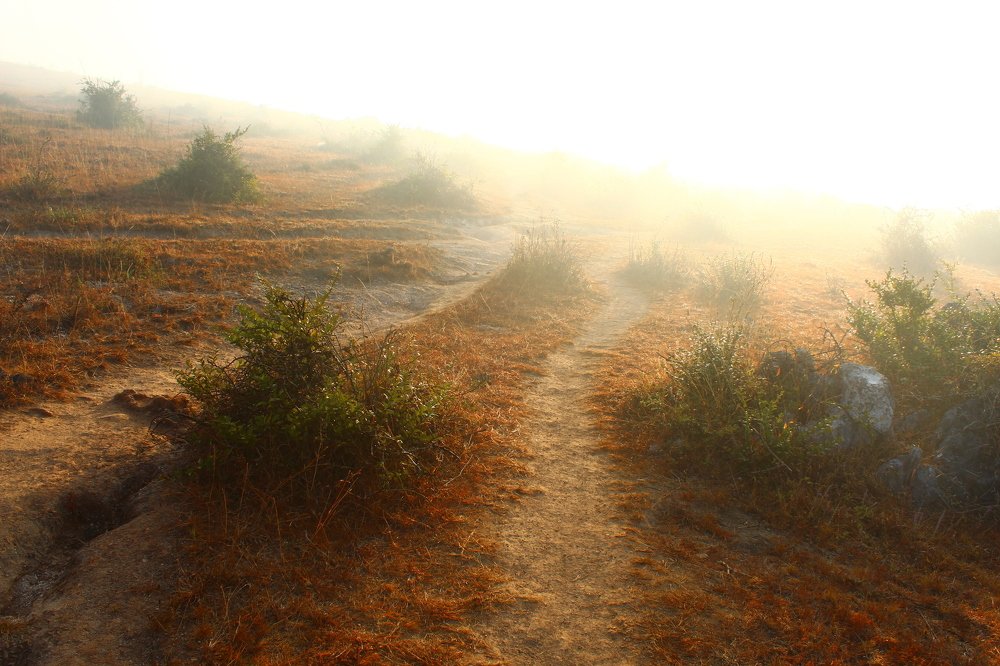 Фотография автора Micca