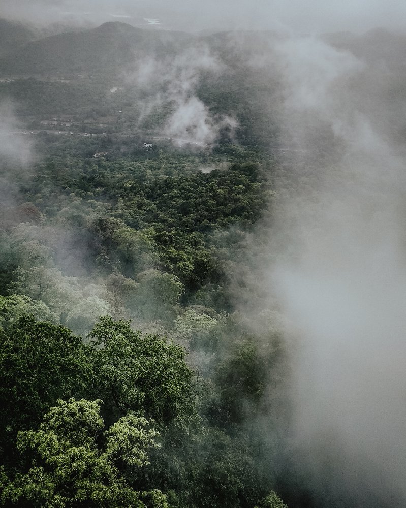 Photograph by Saurabh Parange