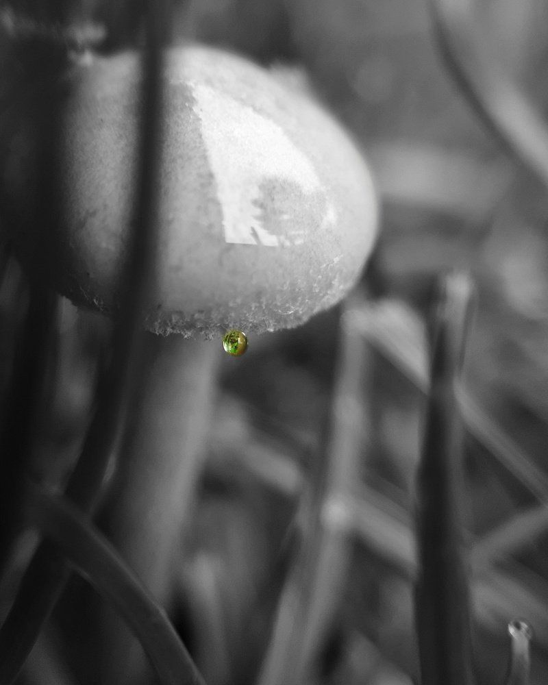 Photograph by Евгения Синкина