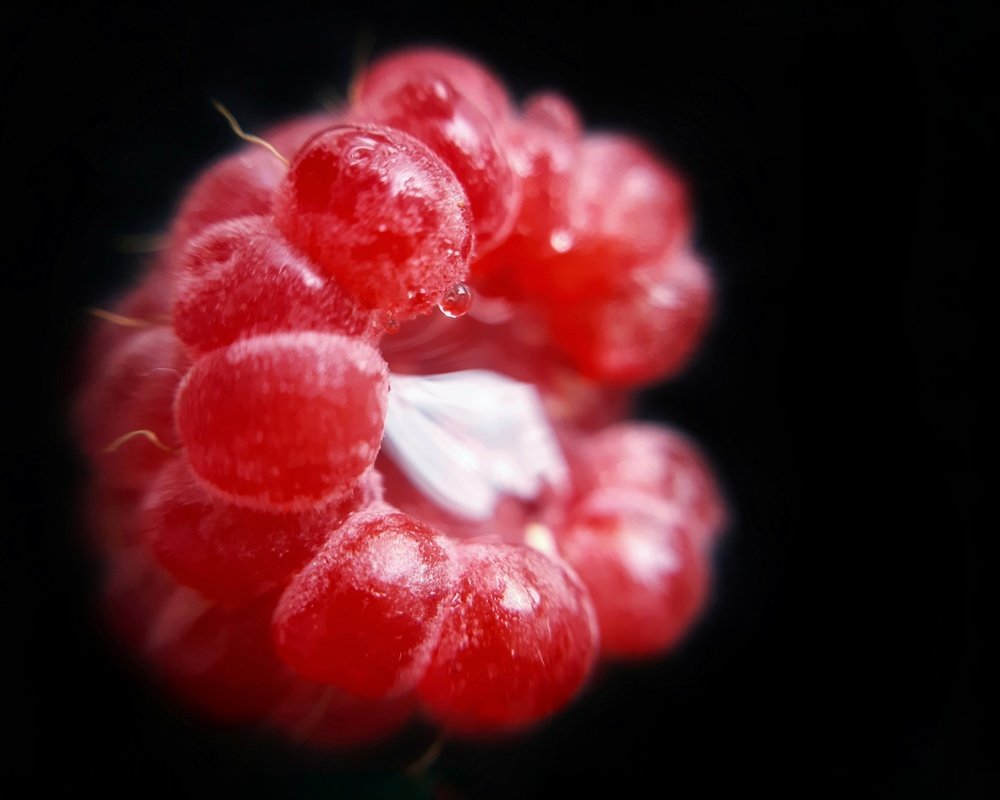 Photograph by Евгения Синкина