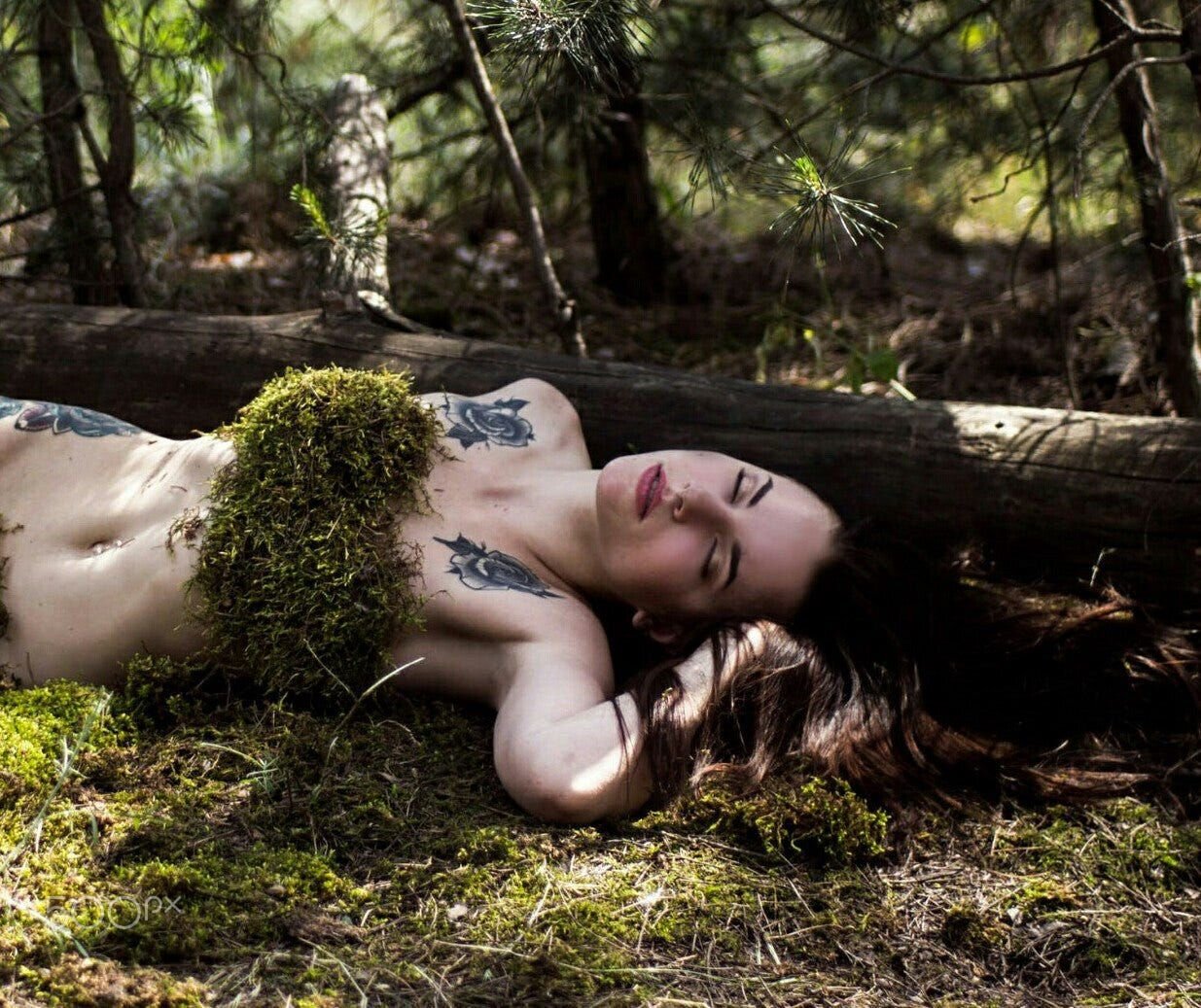Photo #4702336
