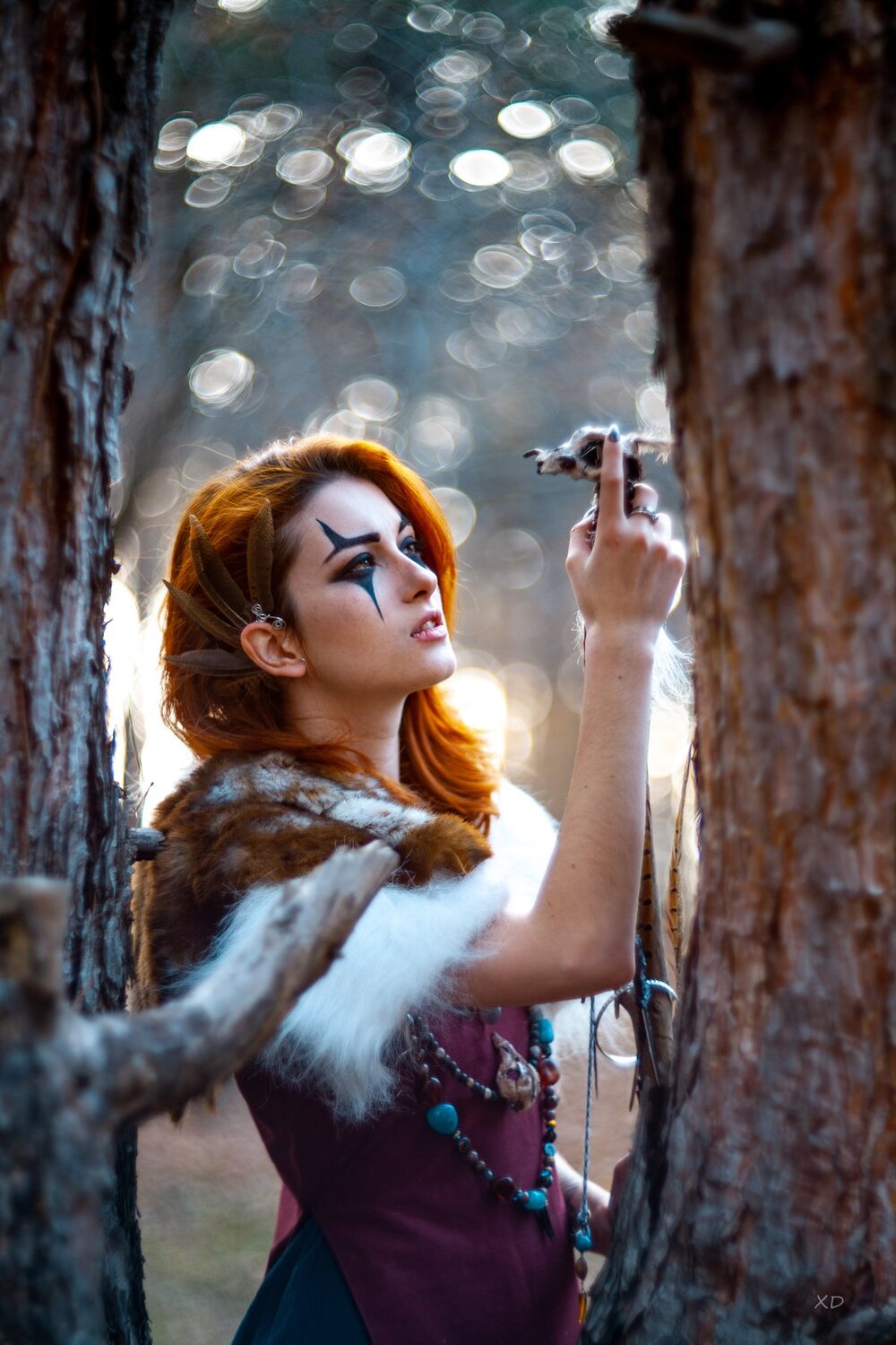 Photo #4702346