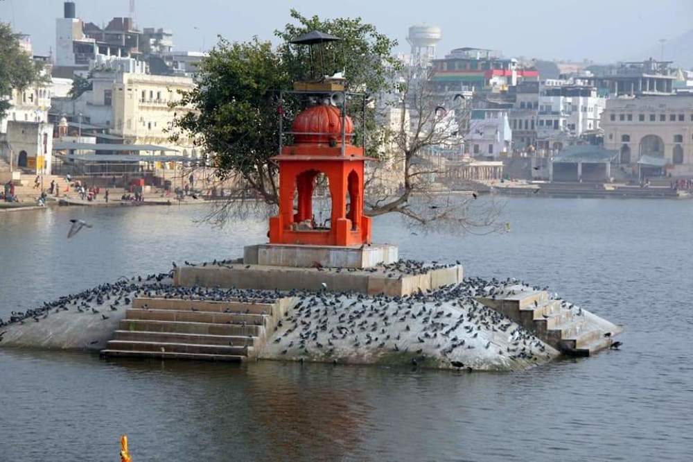 Photograph by Anirban Roy