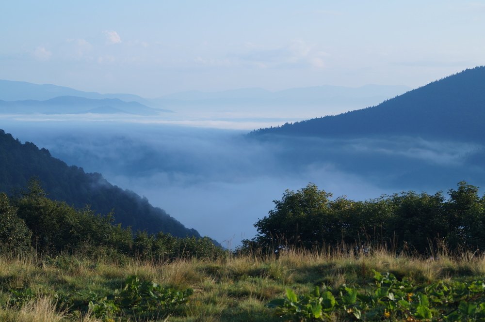 Photograph by Анастасия Клевец