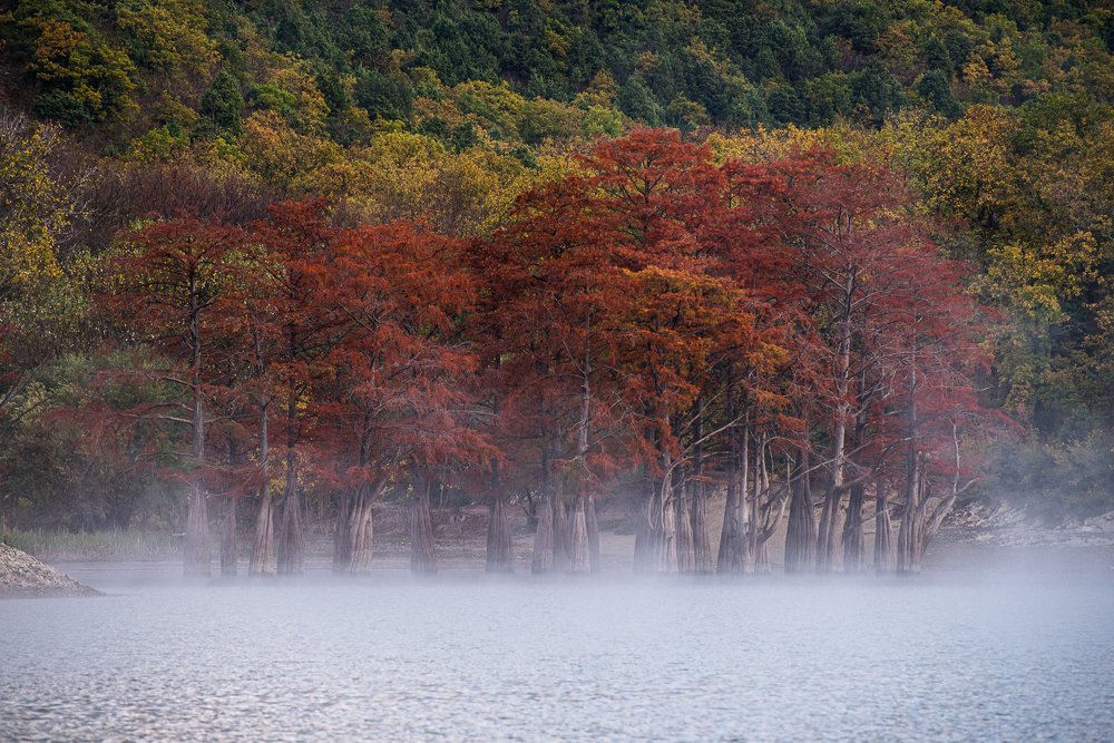 Photograph by Сергей Котов