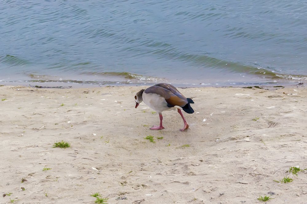 В одиночестве