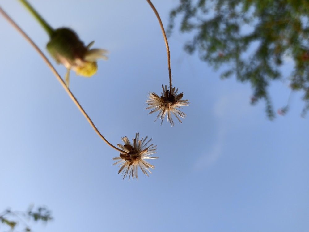 Photograph by Satyawan Narale