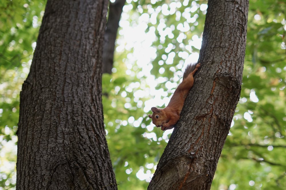 Photograph by Марина Варанкина