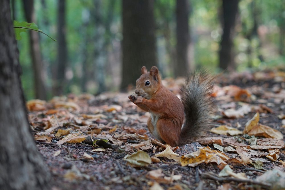 Photograph by Марина Варанкина