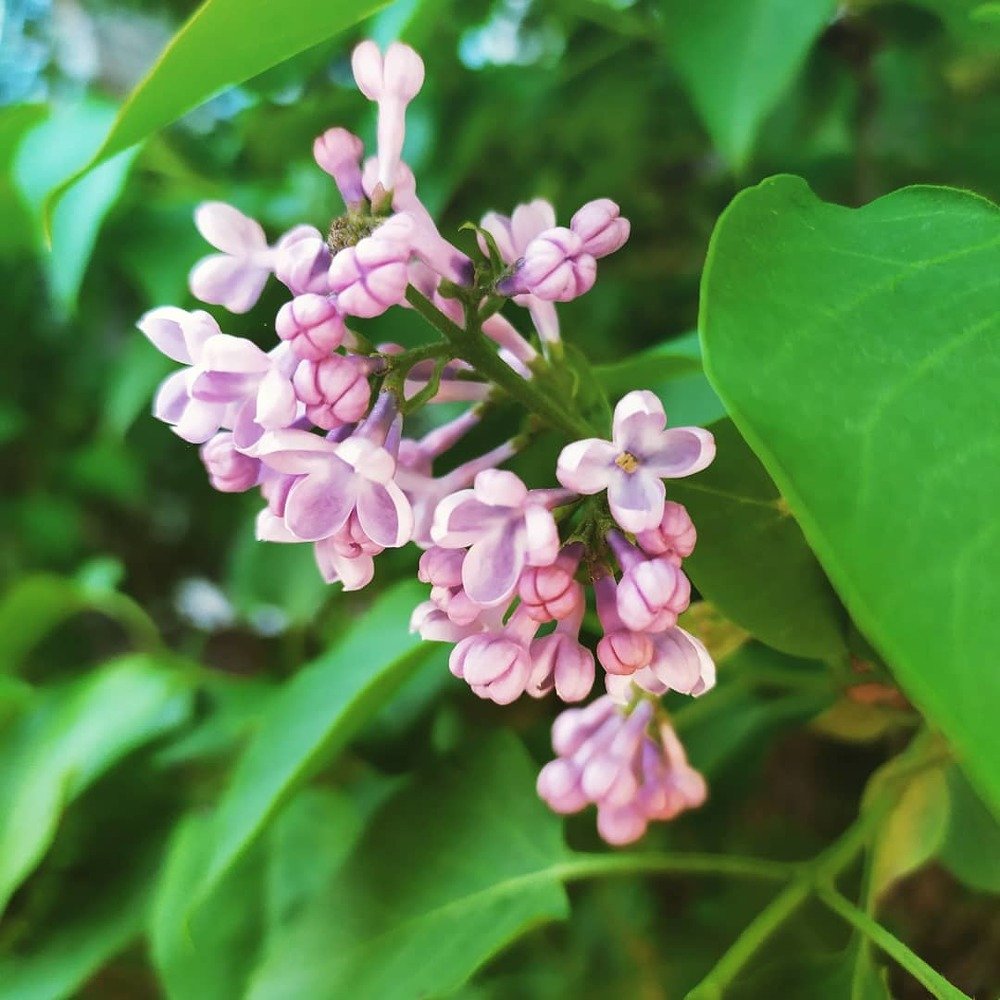 Photograph by Дарья Молодцова