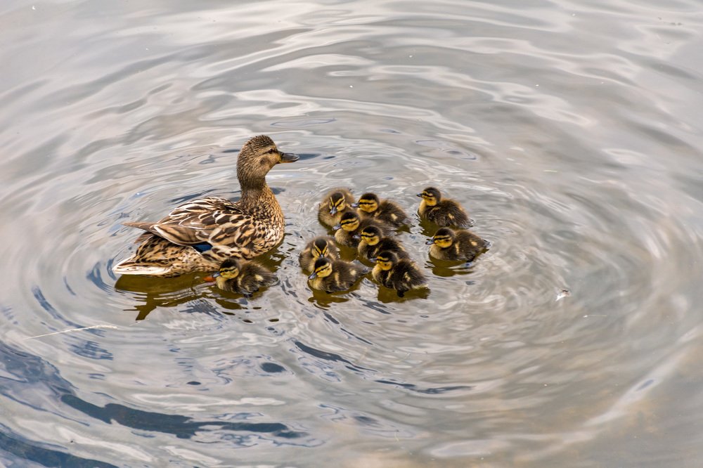 Photograph by Валерий Петухов