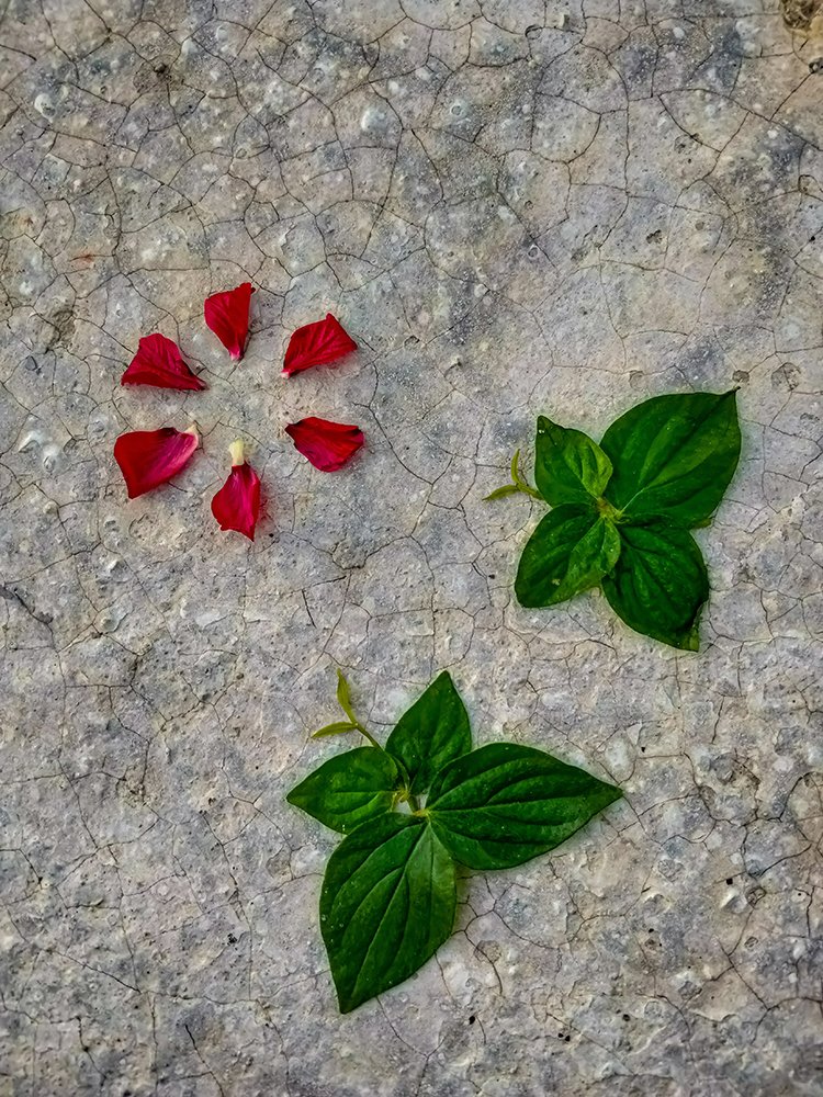 Photograph by Partho Protim Das