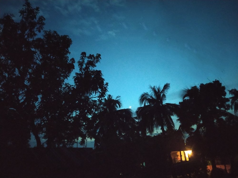 Photograph by MD BILLAH