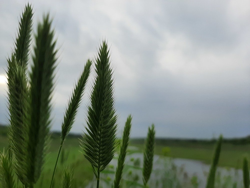 Photograph by Попова Елизавета Сергеевна