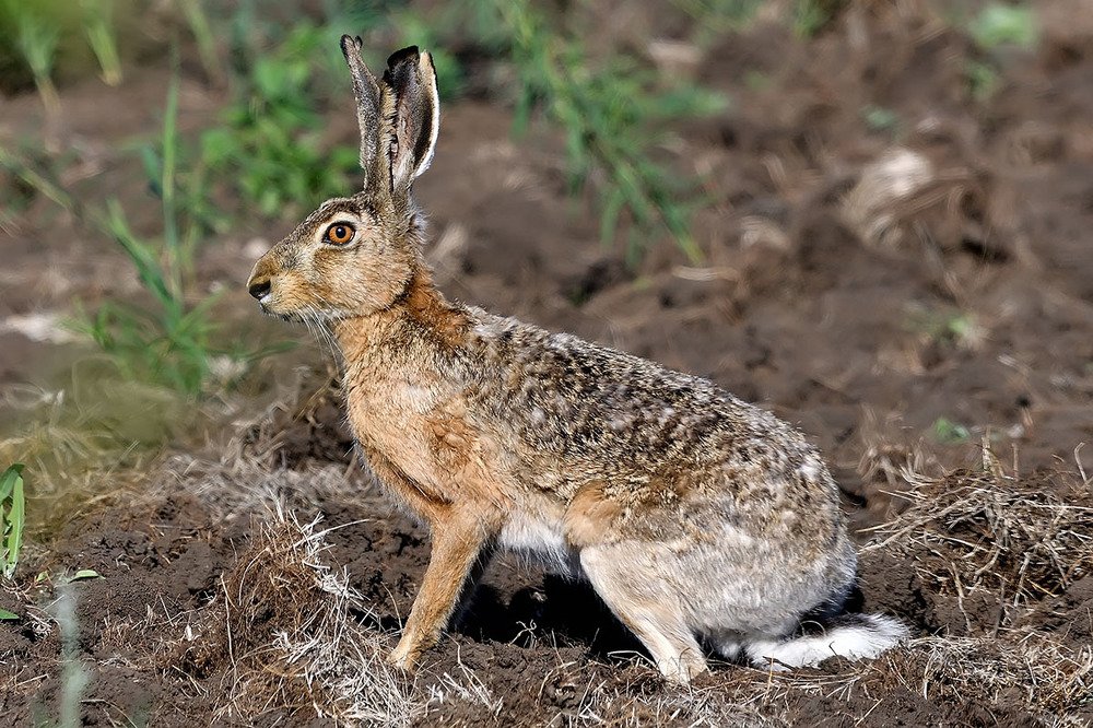 Photograph by Вячеслав Ладанов
