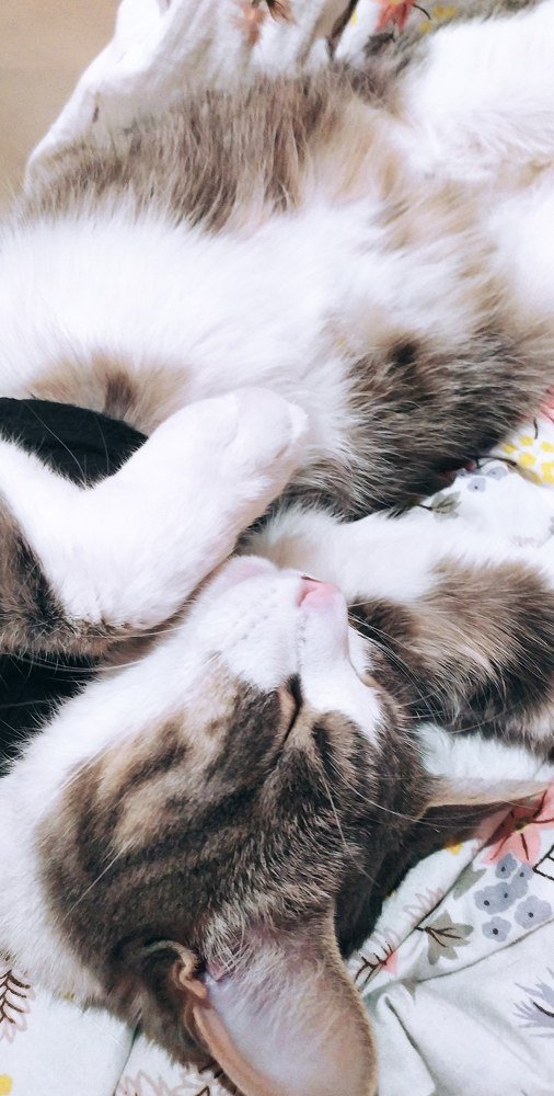 Photograph by Дарья Молодцова