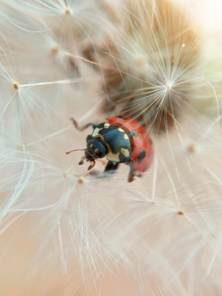 Photograph by Ирина Иливахина