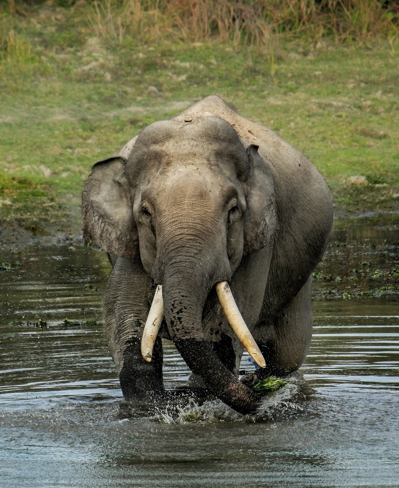 Please Wash your hands and food before eating!