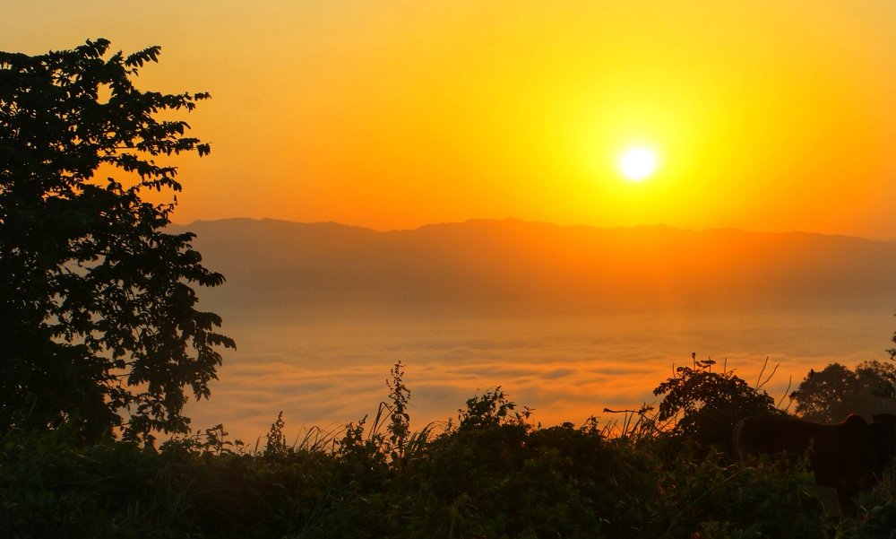Sunrise