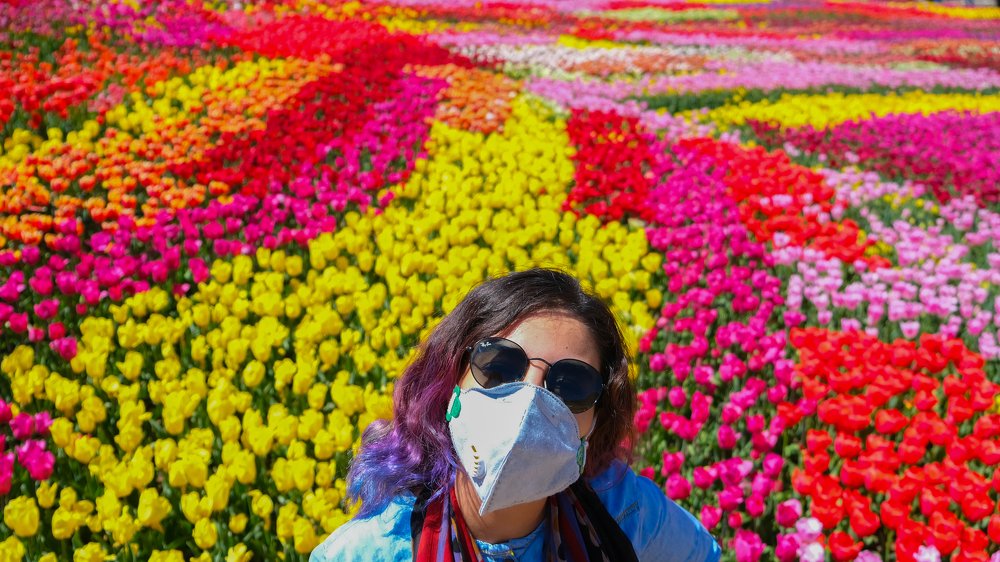 Photograph by Daniel Mehrani