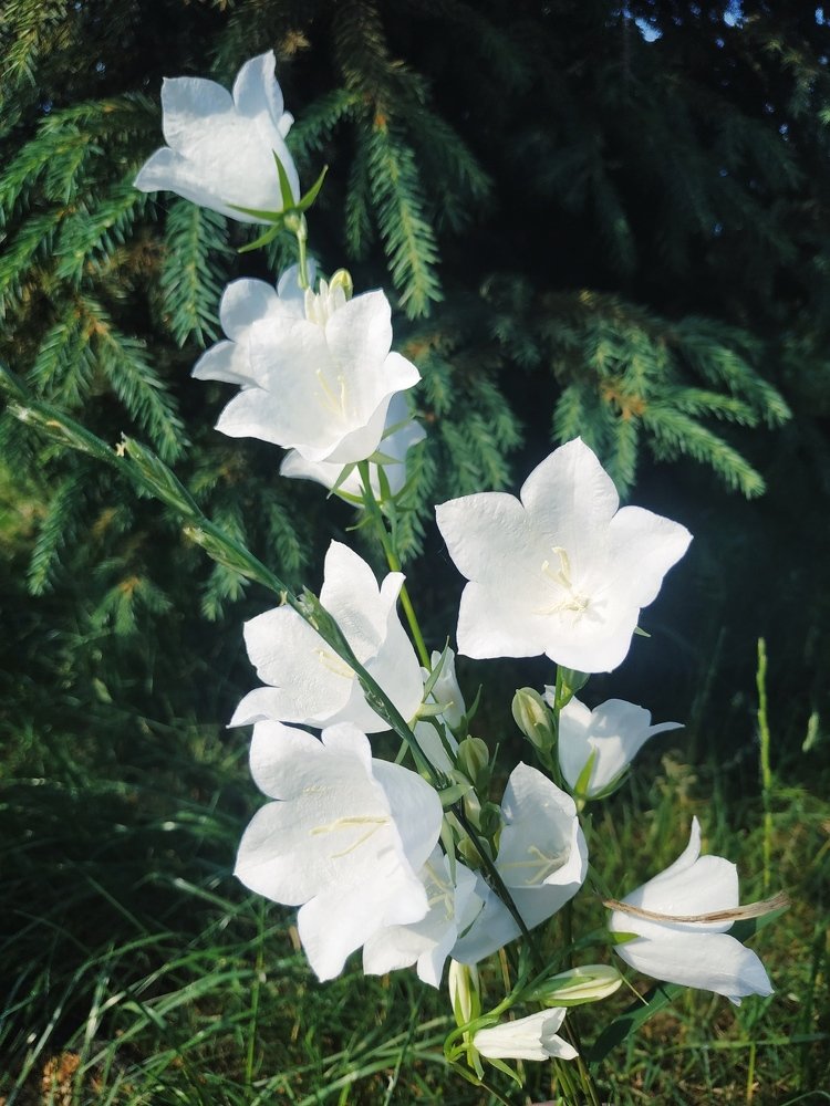 Фотография автора Марина Сербаева