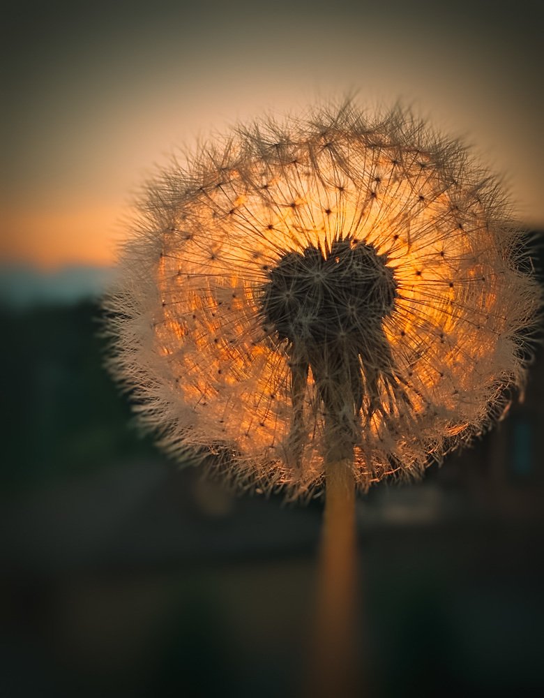 Photograph by Ирина Иливахина