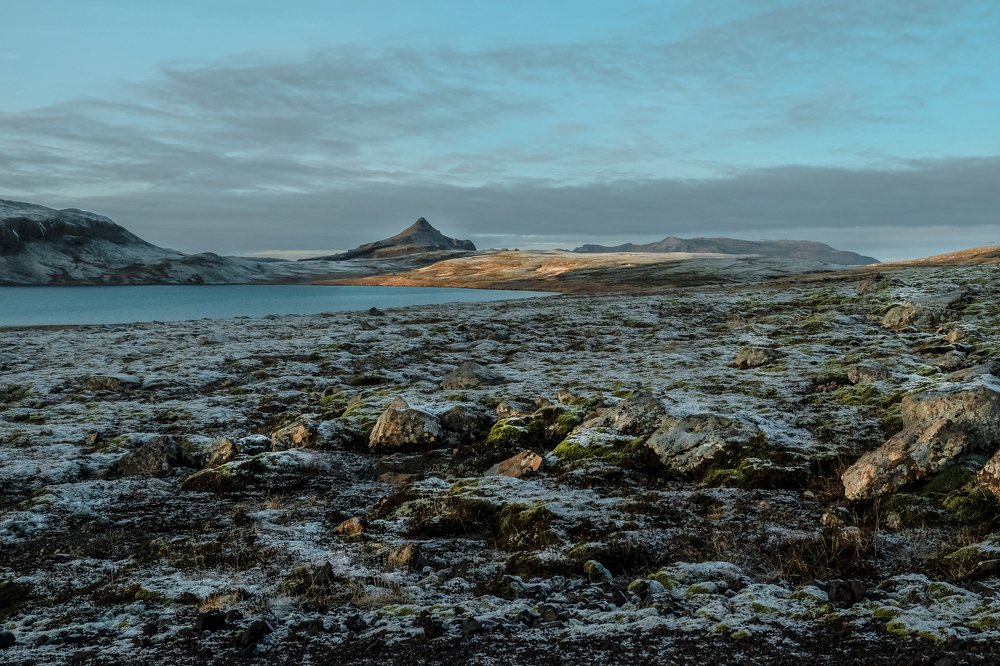 Photograph by Masha Turova