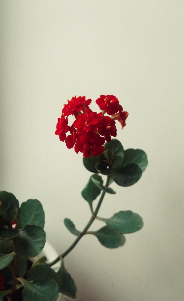 Photograph by Екатерина Шабурова