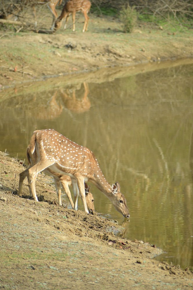 Photograph by Sarang Cheriya kottiyath