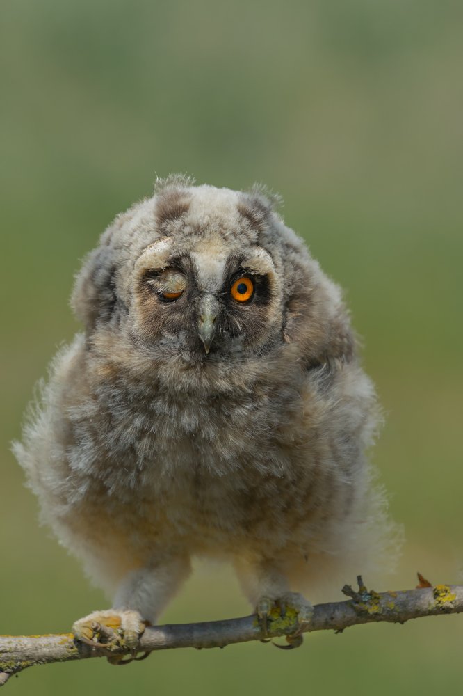 Photograph by Oleg Chystyakov