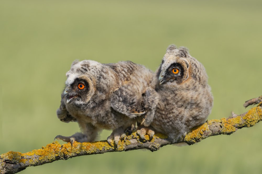 Photograph by Oleg Chystyakov