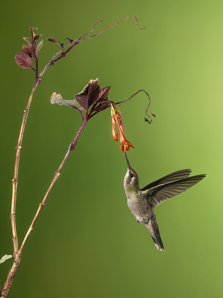 Photograph by Esteban Argerich