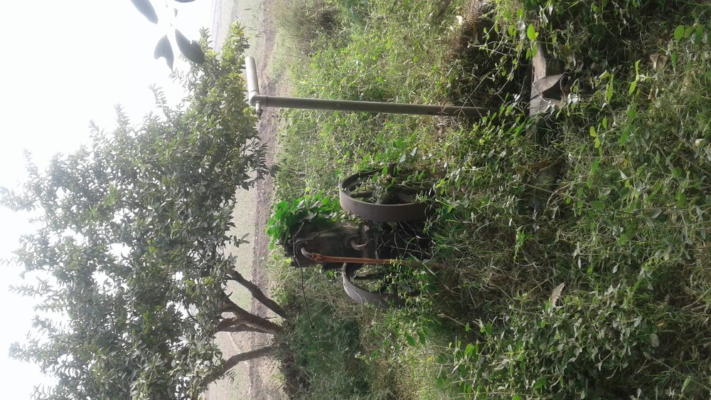 Photo #4703283