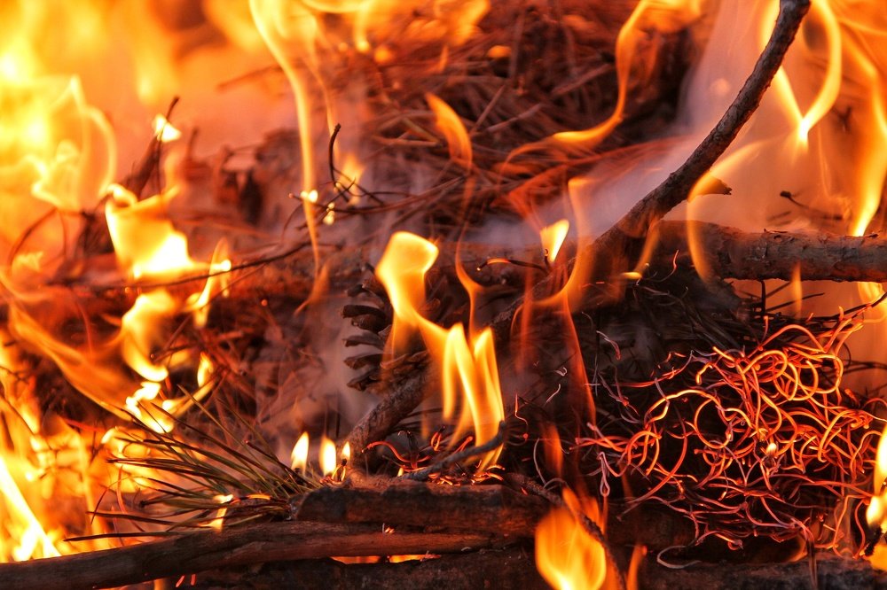 Photograph by Марина