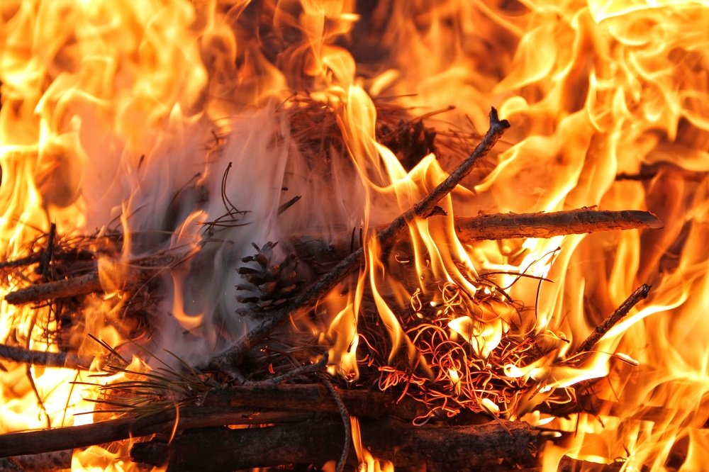 Photograph by Марина