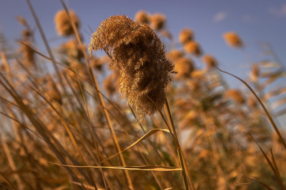 Photograph by Omar Khaled El Sayad