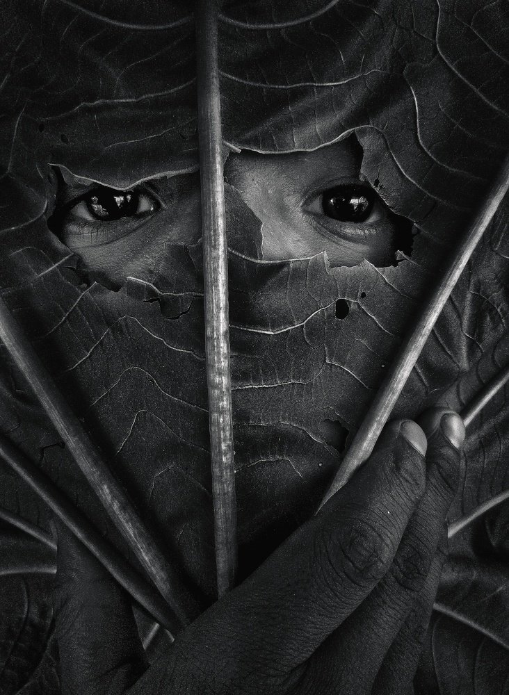 Photograph by Lavlu NH