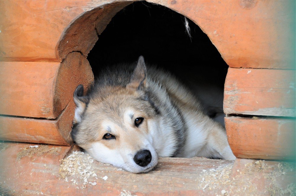 Photograph by Галина