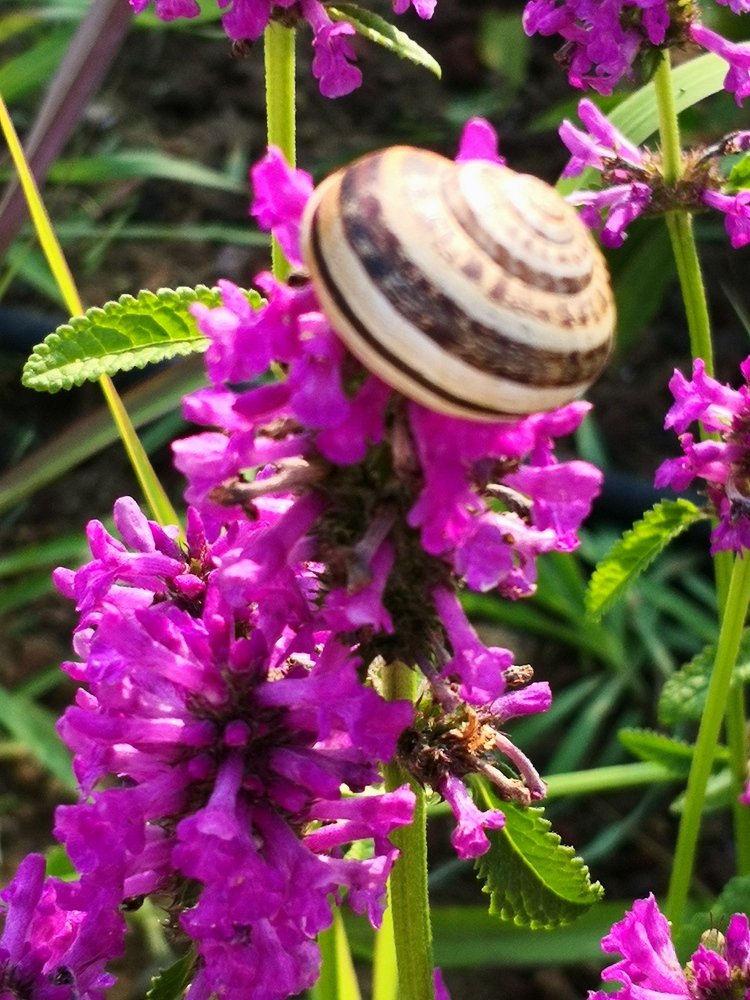 Photograph by Mateja Jaušovec