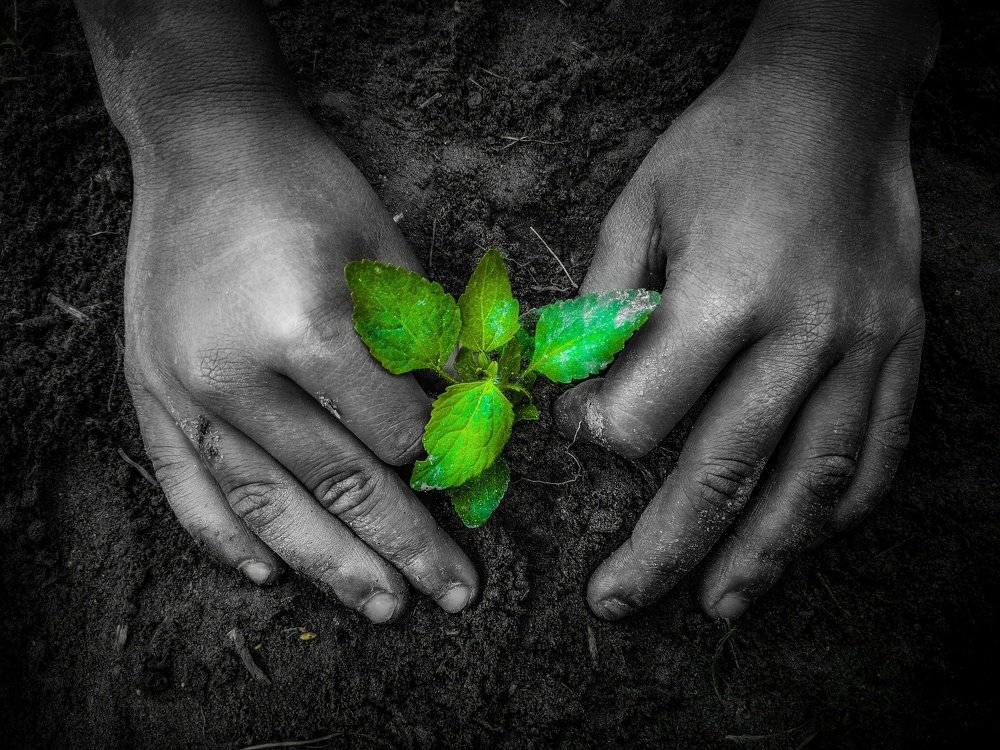 Photograph by Lavlu NH